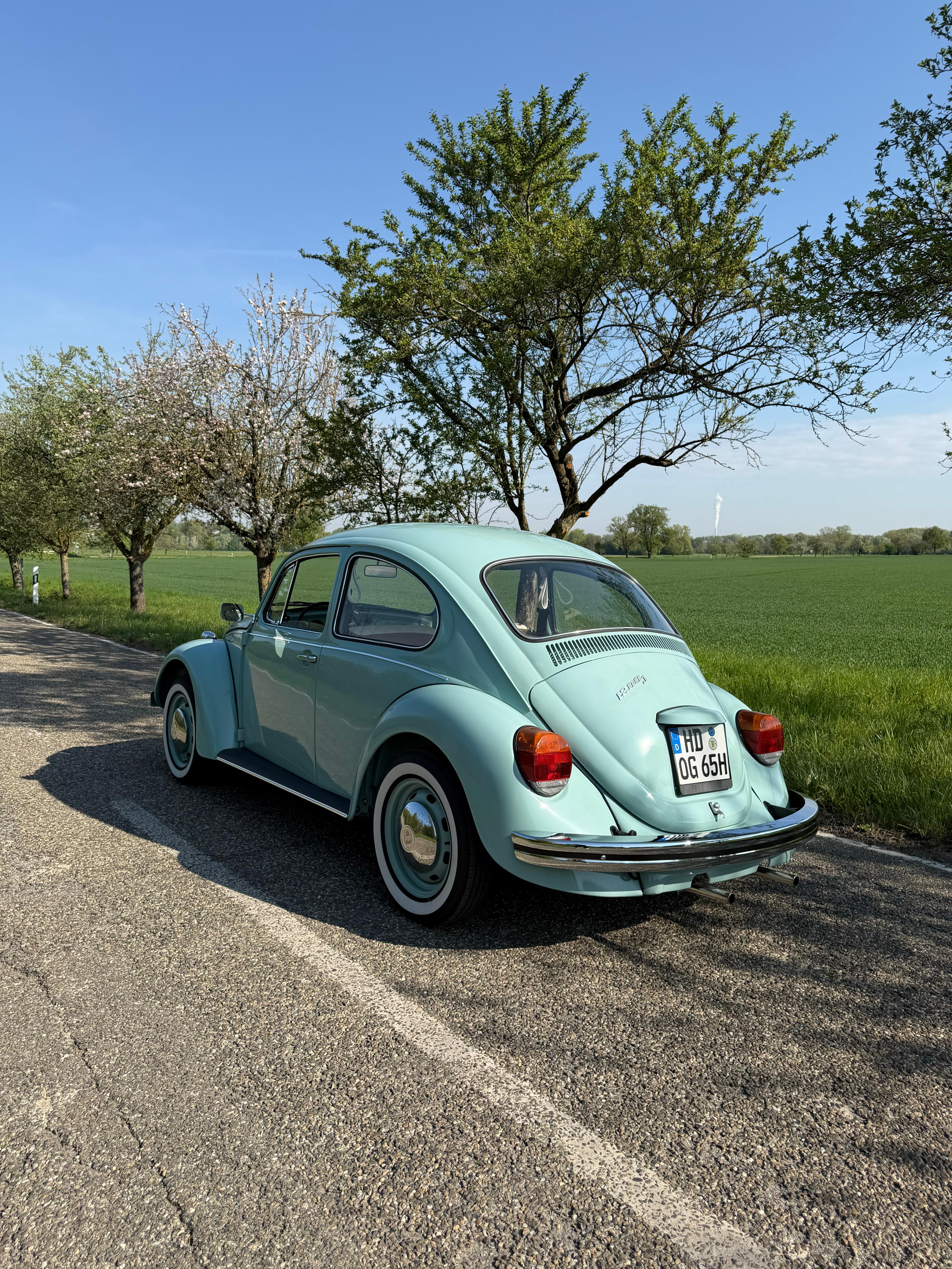 Hildegard VW Käfer Himmelblau auf dem Feld